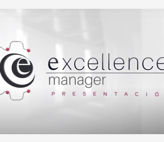 Excellence Manager poster