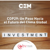 COP29