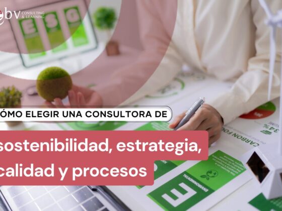 Cómo elegir una consultora de sostenibilidad, estrategia, calidad y procesos