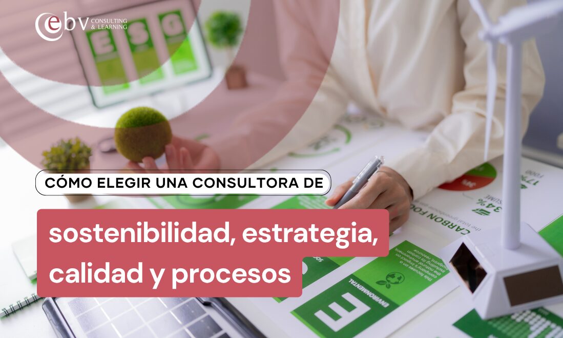 cómo elegir una consultora de sostenibilidad